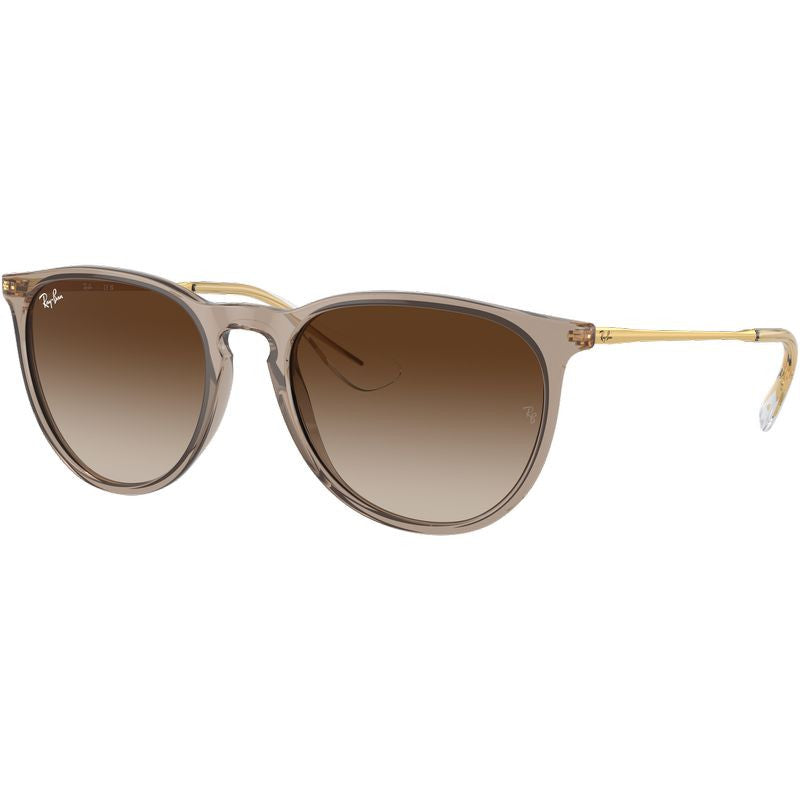 Erika Classic RB4171F, Transparent Light Brown/Brown Gradient Lenses