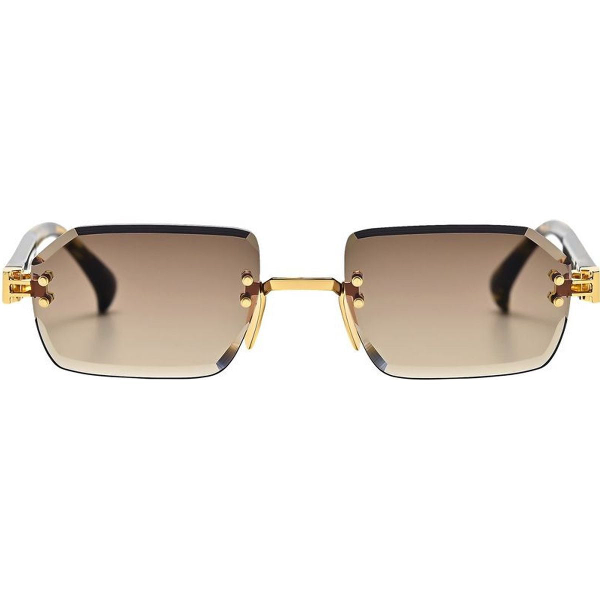 Sangha, Gents Tort/Brown Gradient Lenses