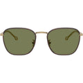 AR6164J, Matte Pale Gold/Green Lenses