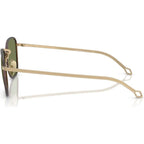 AR6164J, Matte Pale Gold/Green Lenses