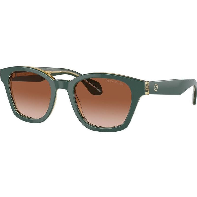 AR8207F, Top Green Transparent Olive/Brown Gradient Lenses