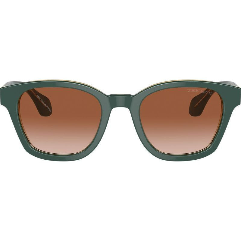AR8207F, Top Green Transparent Olive/Brown Gradient Lenses