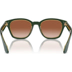 AR8207F, Top Green Transparent Olive/Brown Gradient Lenses