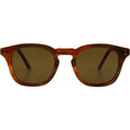 Dune, Brown Stripe/Brown Polarised Lenses