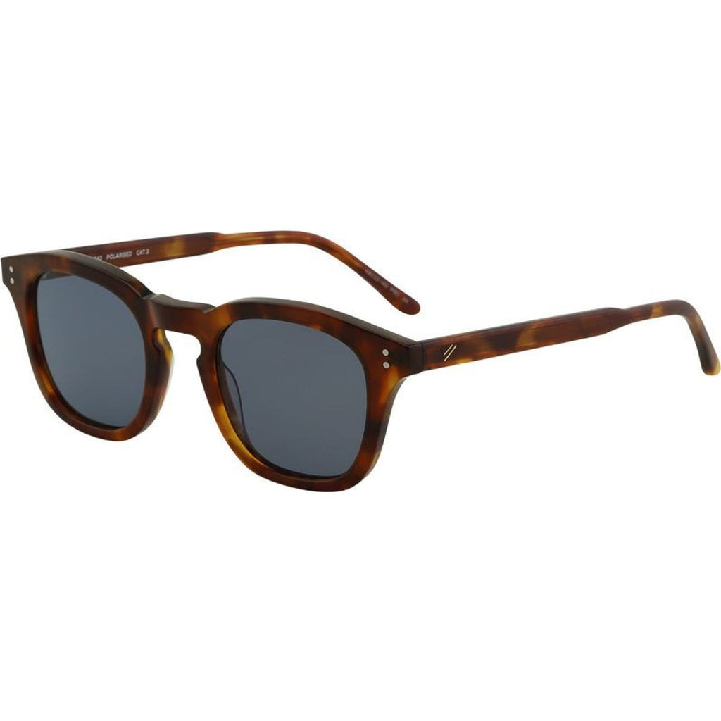 Dune, Chestnut Havana/Blue Polarised Lenses