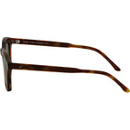 Dune, Chestnut Havana/Blue Polarised Lenses
