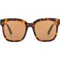Laze, Dark Tort/Brown Polarised Lenses