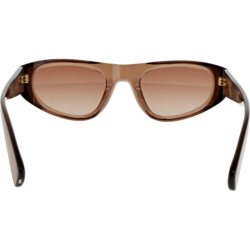 Benjamin, Brown/Brown Lenses