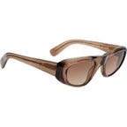 Benjamin, Brown/Brown Lenses