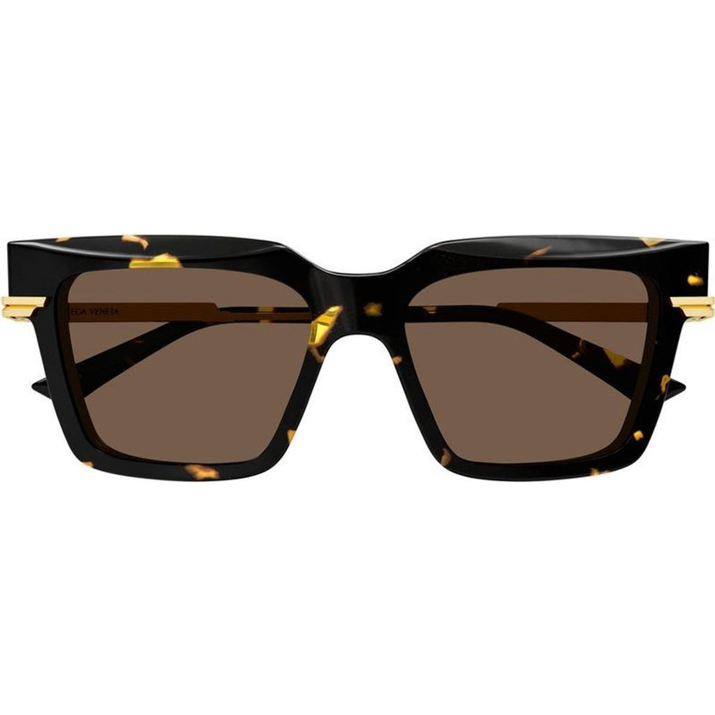 BV1242S, Havana/Brown Lenses