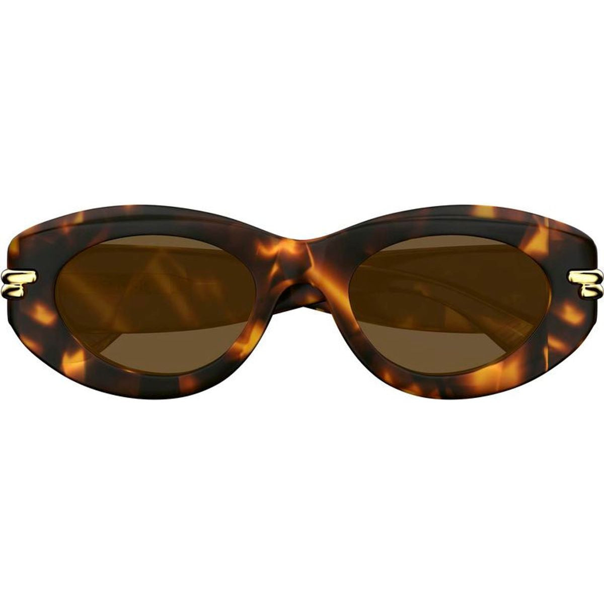 BV1322S, Havana/Brown Lenses
