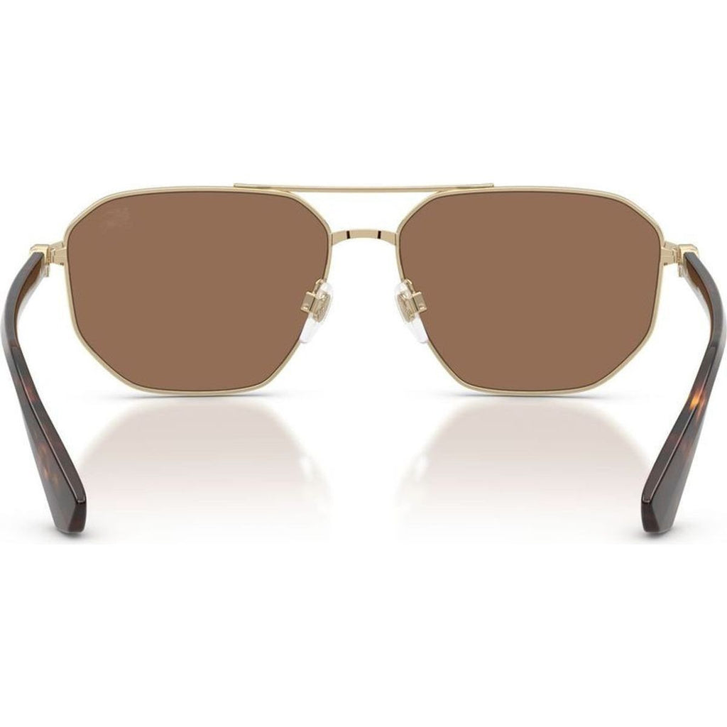 BE3166, Light Gold/Dark Brown Lenses