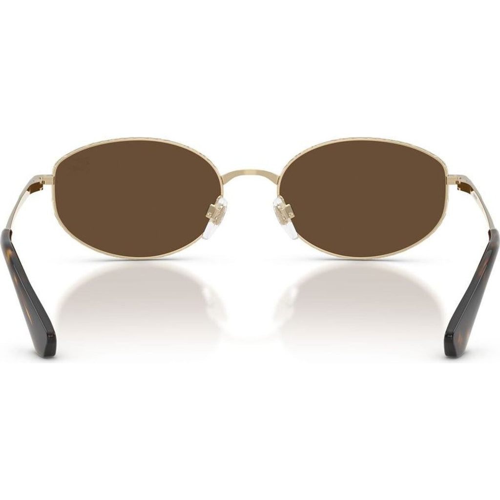 BE3169, Light Gold/Dark Brown Lenses
