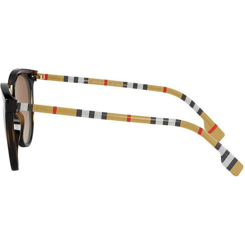 Willow BE4316, Dark Havana/Brown Gradient Polarised Lenses