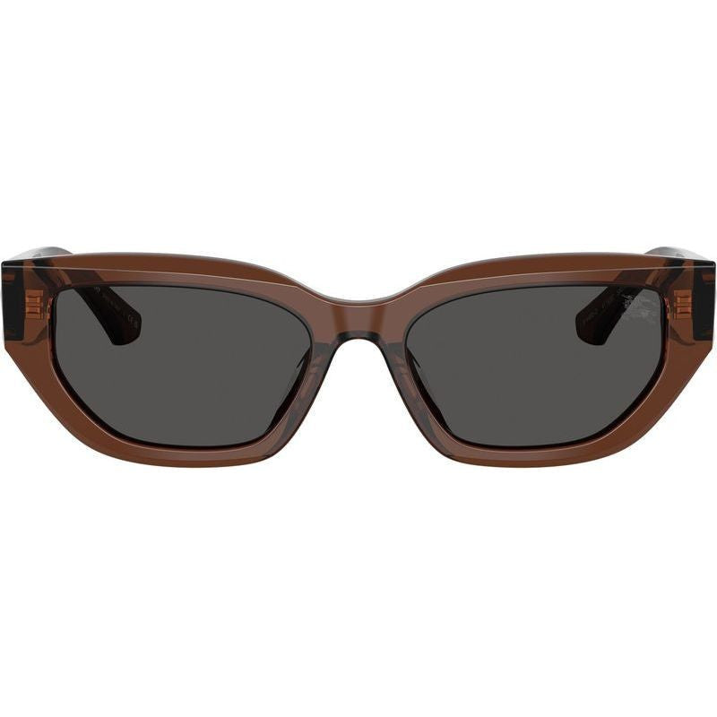 BE4463D, Brown/Dark Grey Lenses