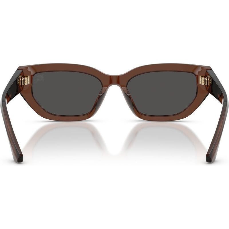 BE4463D, Brown/Dark Grey Lenses