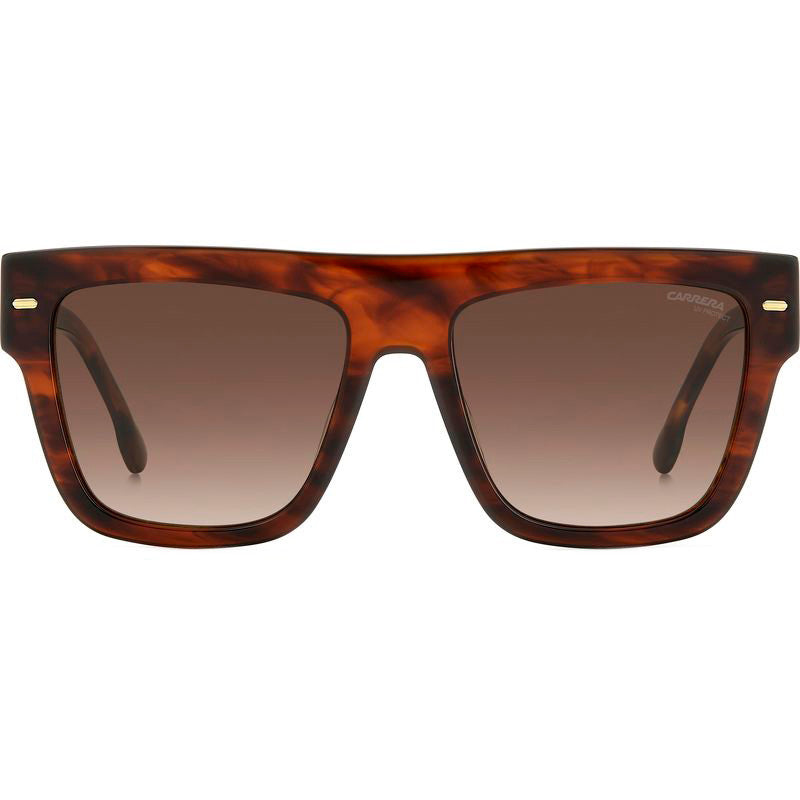 3016/S, Brown Horn/Brown Gradient Lenses