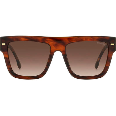 3016/S, Brown Horn/Brown Gradient Lenses