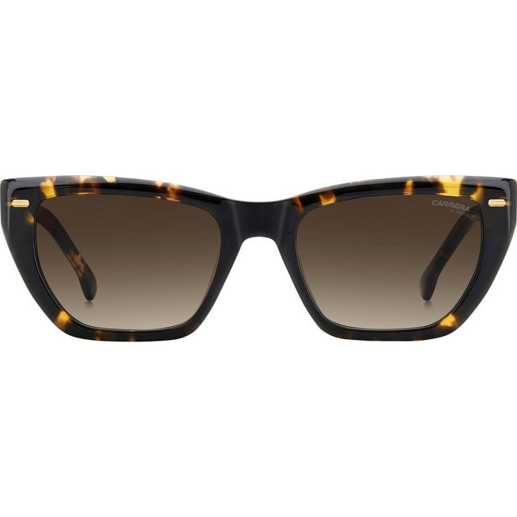 3081/S, Havana/Brown Gradient Lenses
