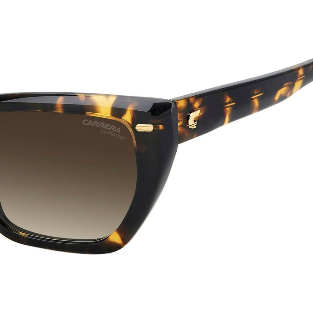3081/S, Havana/Brown Gradient Lenses