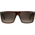 5039/S, Havana and Black/Brown Gradient Lenses