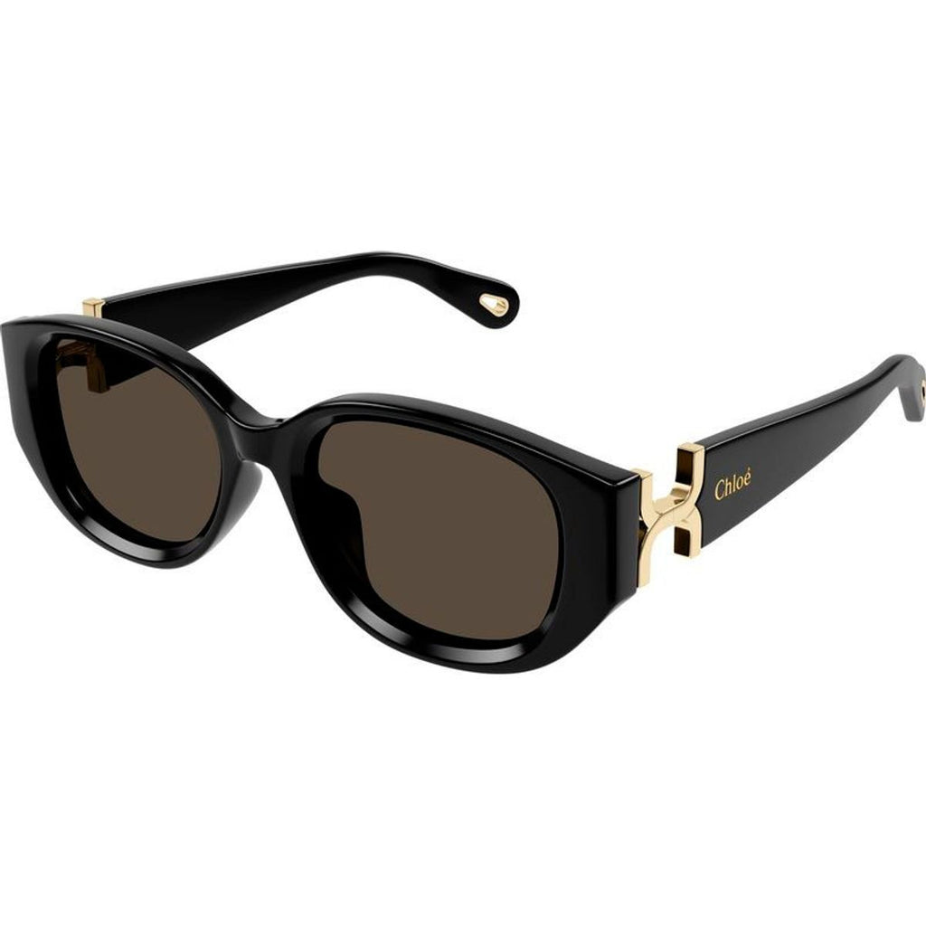 CH0237SK, Black/Brown Lenses