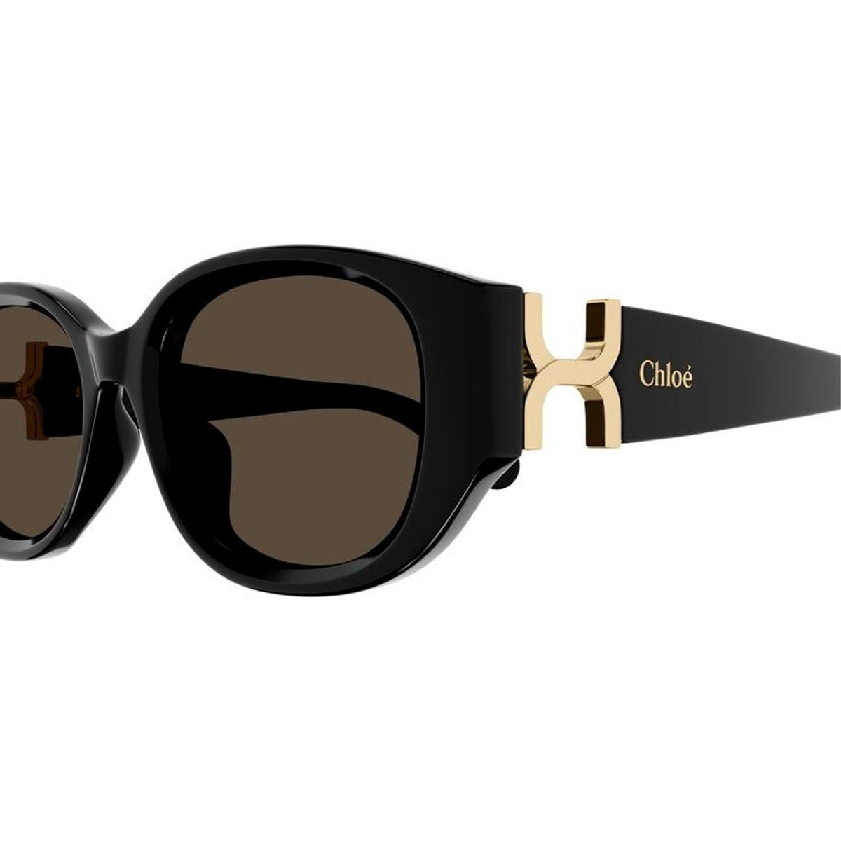 CH0237SK, Black/Brown Lenses
