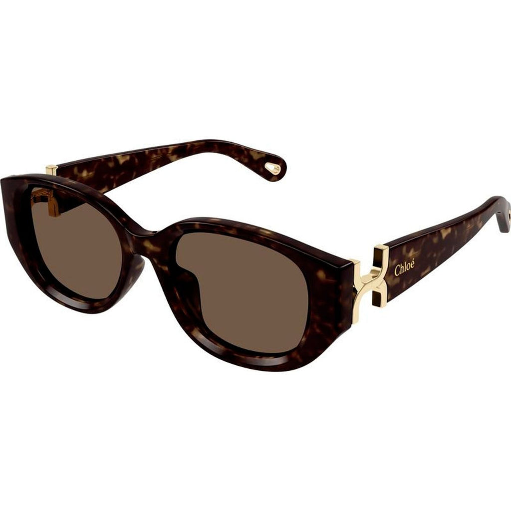 CH0237SK, Havana/Brown Lenses