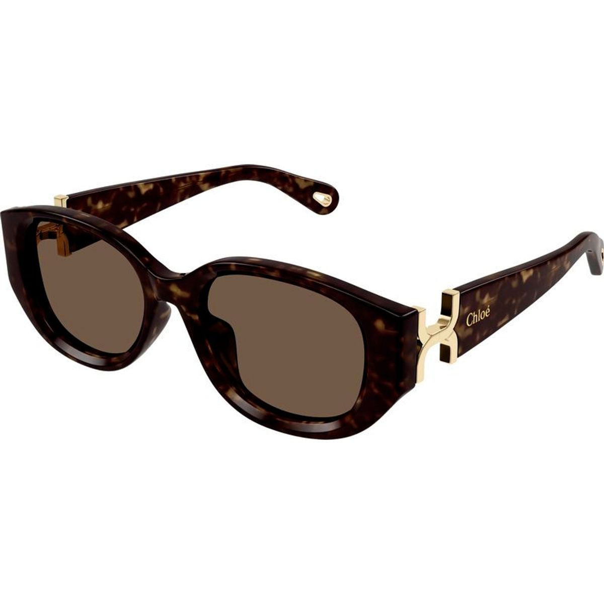 CH0237SK, Havana/Brown Lenses