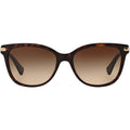 8132, Dark Tort/Brown Gradient Lenses