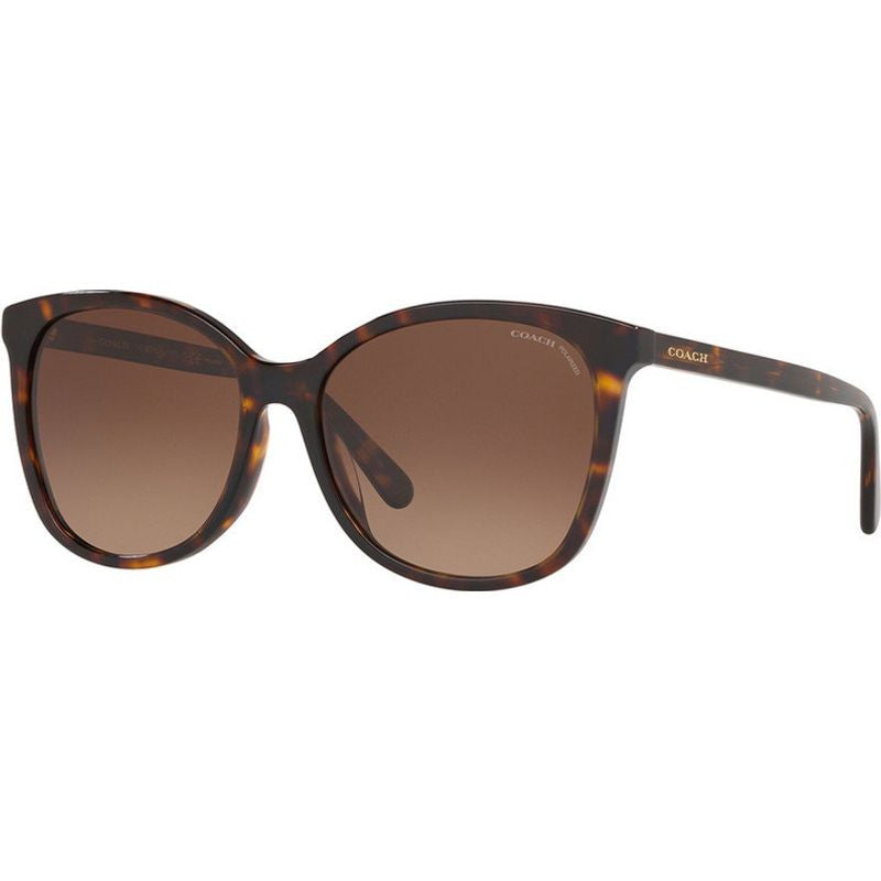 8271U, Dark Tort/Brown Gradient Polarised Lenses