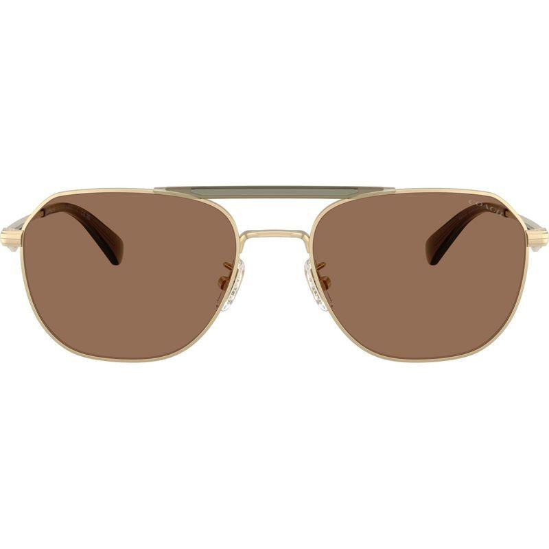 HC7178, Satin Light Gold and Olive Green/Brown Lenses