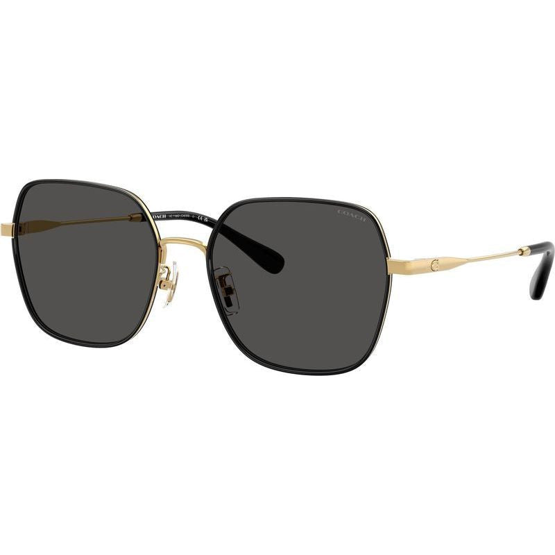 HC7180D, Shiny Gold and Black/Grey Lenses