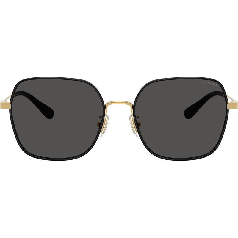 HC7180D, Shiny Gold and Black/Grey Lenses