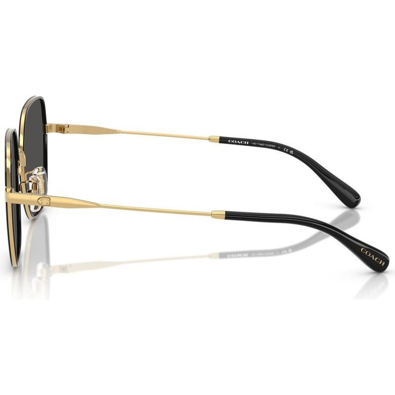 HC7180D, Shiny Gold and Black/Grey Lenses