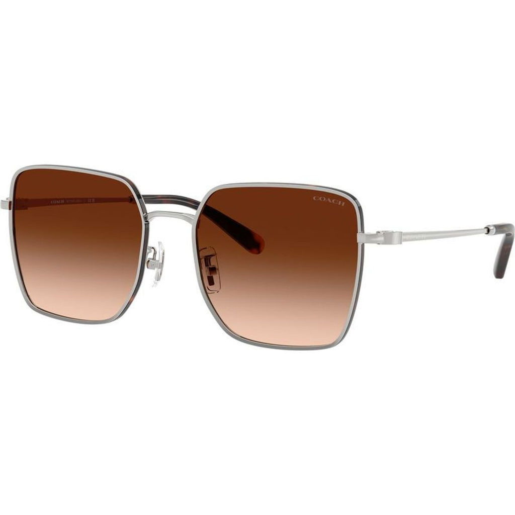 HC7184D, Silver and Dark Tortoise/Brown Gradient Lenses
