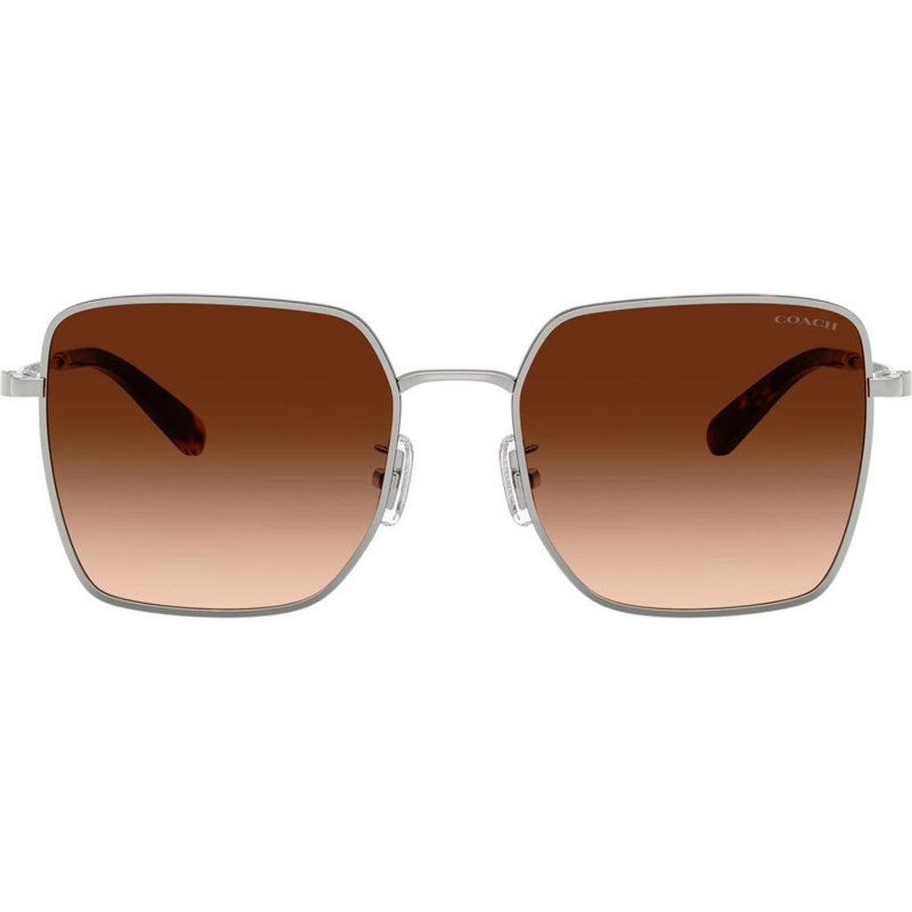 HC7184D, Silver and Dark Tortoise/Brown Gradient Lenses