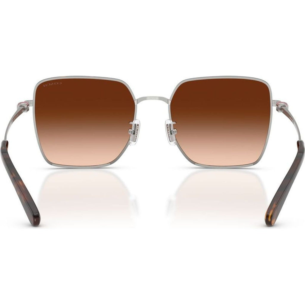 HC7184D, Silver and Dark Tortoise/Brown Gradient Lenses