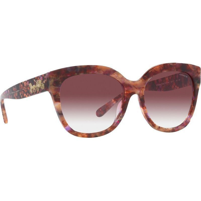 HC8264, Petal Tortoise/Purple Clear Gradient Lenses
