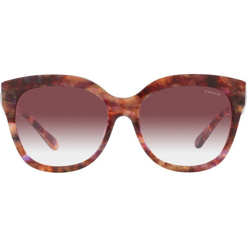 HC8264, Petal Tortoise/Purple Clear Gradient Lenses