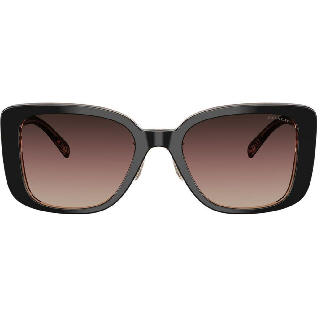 HC8352, Black/Brown Purple Gradient Lenses