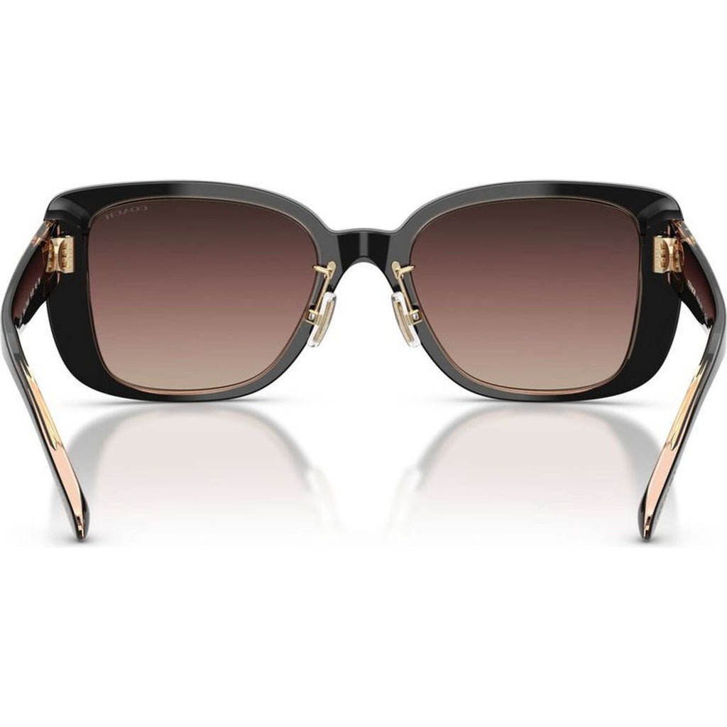 HC8352, Black/Brown Purple Gradient Lenses