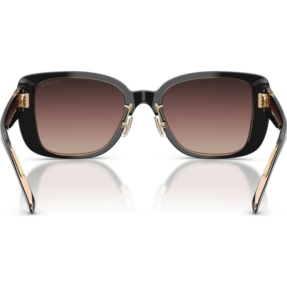 HC8352, Black/Brown Purple Gradient Lenses
