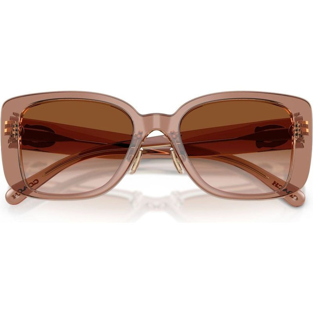 HC8352, Transparent Brown/Brown Gradient Lenses