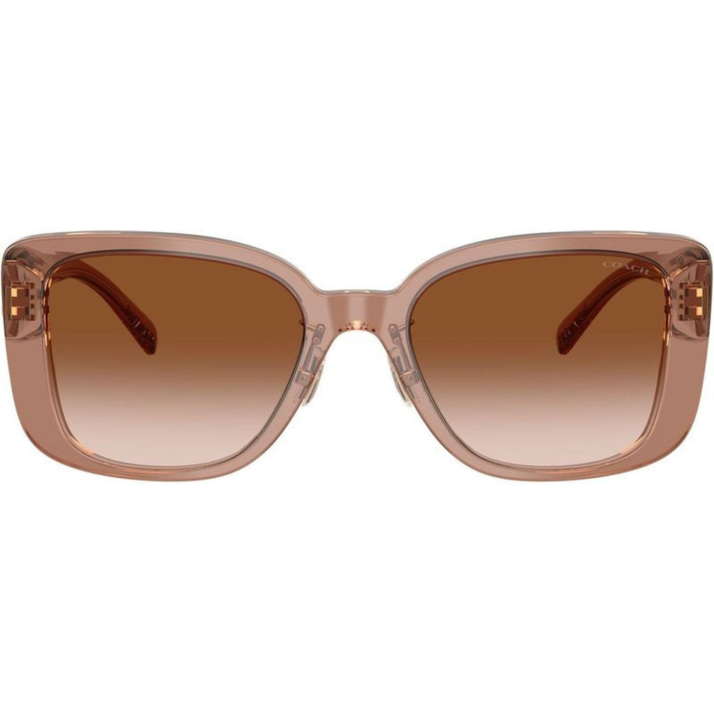 HC8352, Transparent Brown/Brown Gradient Lenses