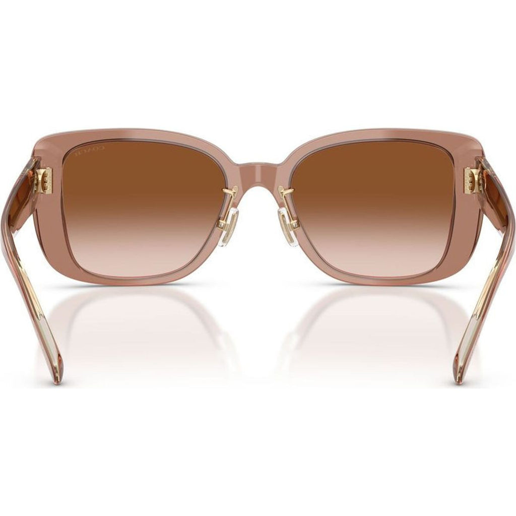 HC8352, Transparent Brown/Brown Gradient Lenses