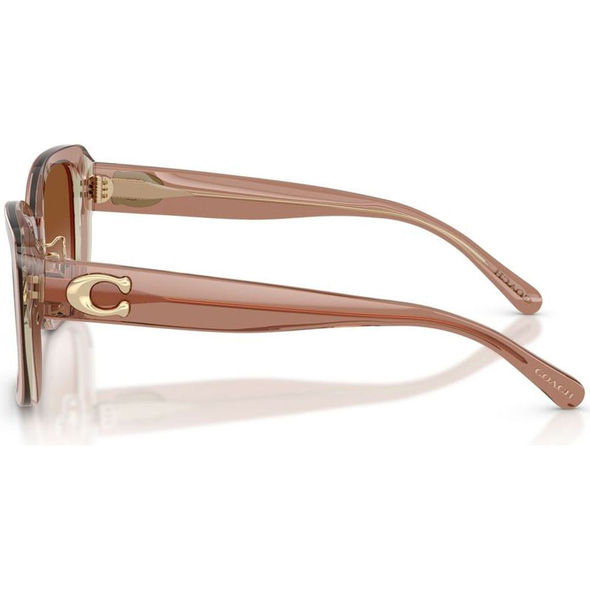 HC8352, Transparent Brown/Brown Gradient Lenses