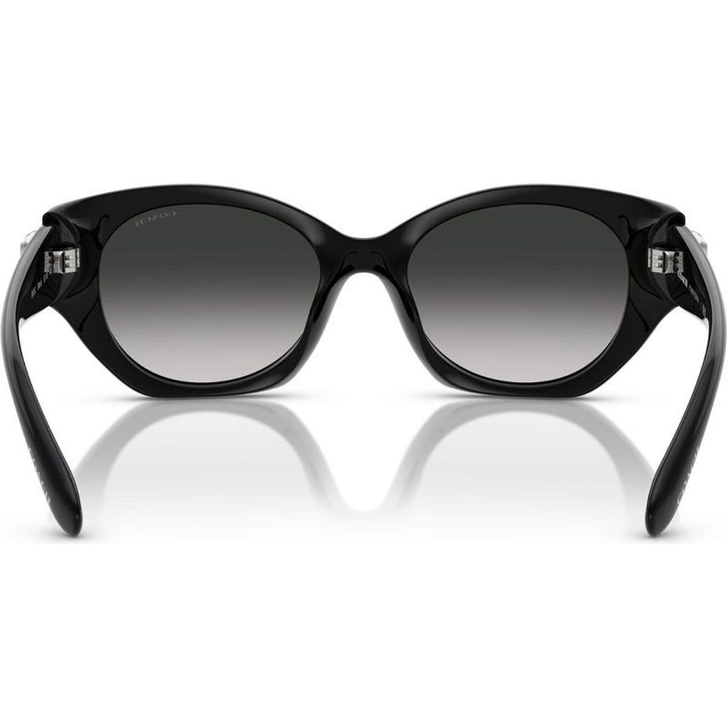 HC8407U, Black/Grey Gradient Lenses