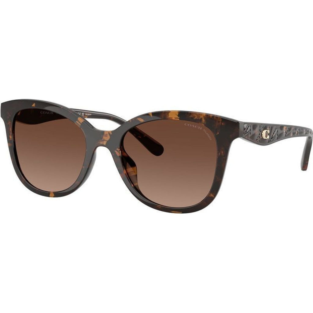 HC8419U, Dark Tortoise/Brown Gradient Polarised Lenses