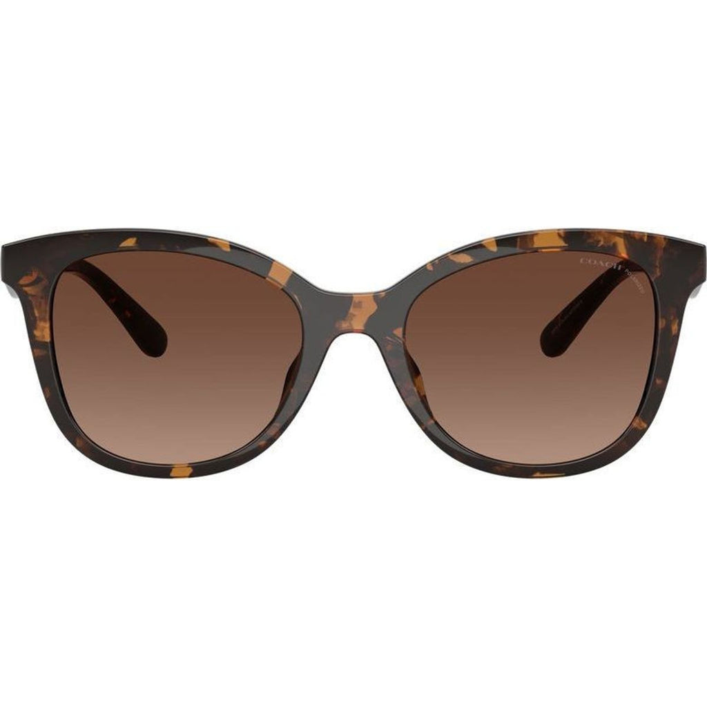 HC8419U, Dark Tortoise/Brown Gradient Polarised Lenses